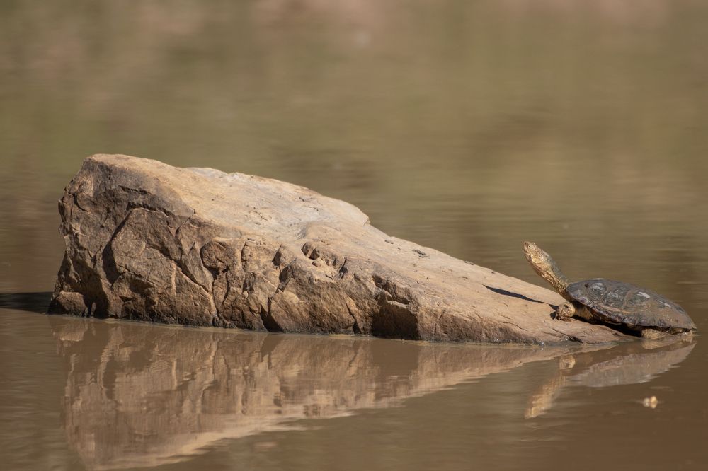 Photograph by Deon Oosthuizen