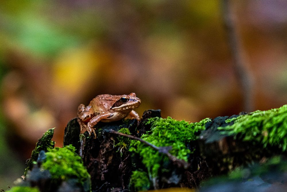 Photograph by levi bagy