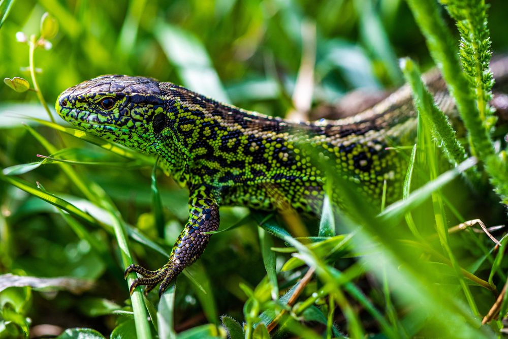 Photograph by levi bagy