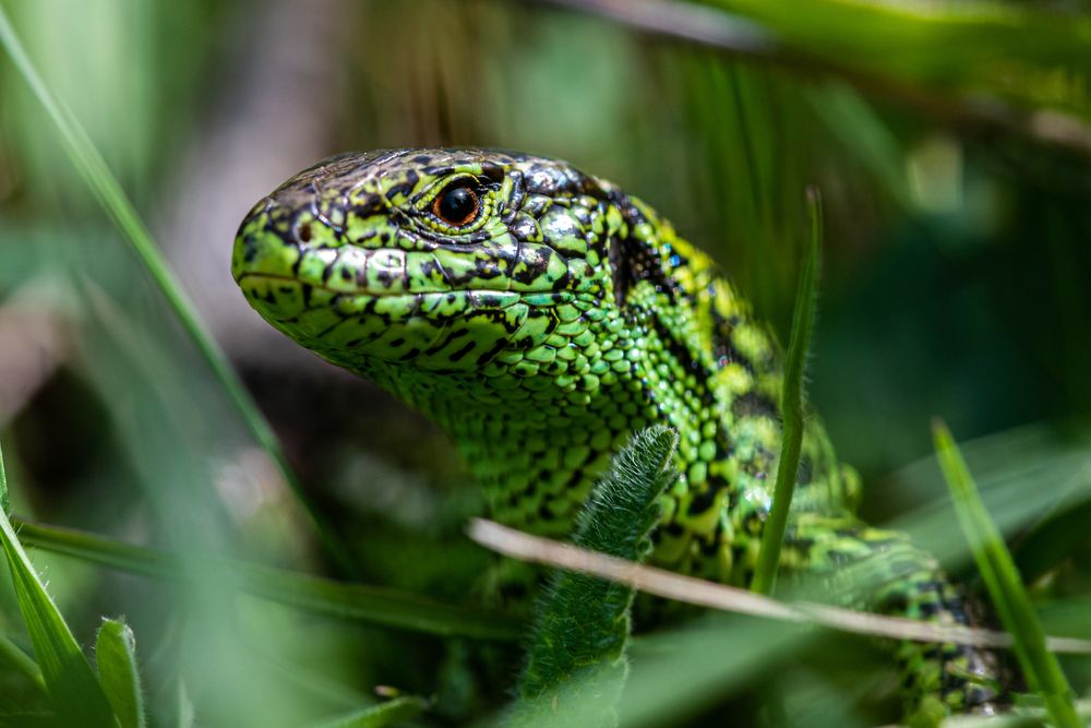 Photograph by levi bagy