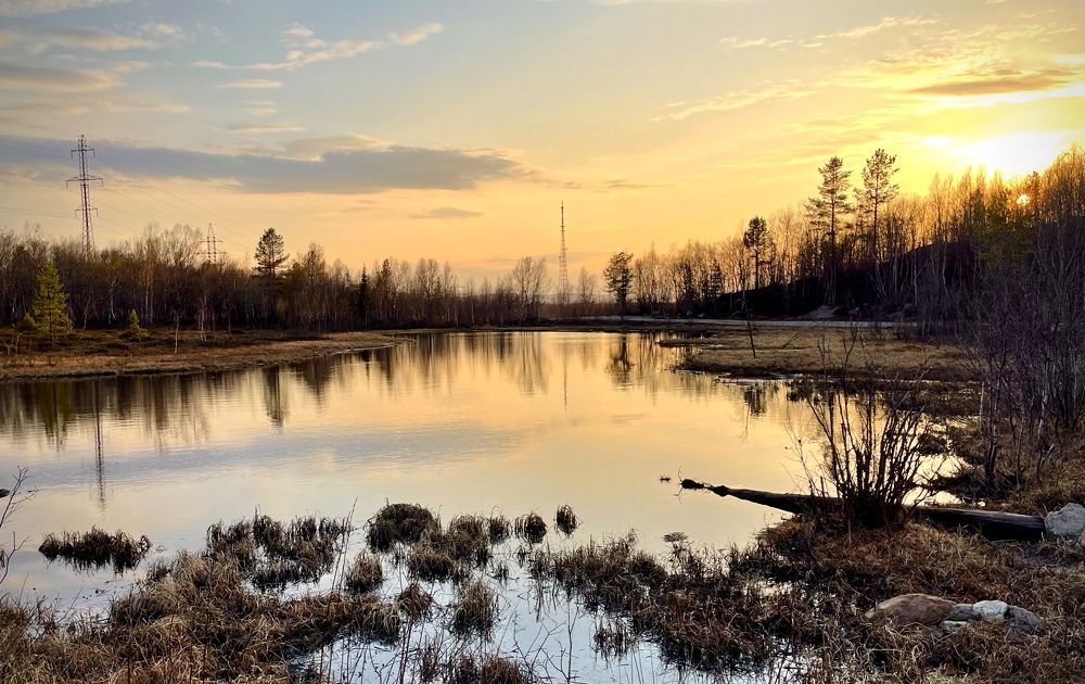 Фотография автора Юлия Шумейко
