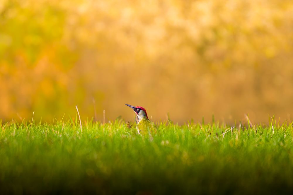 Photograph by Nikolay Suvorov