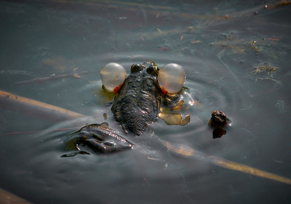 Photograph by Ткачёв Владимир