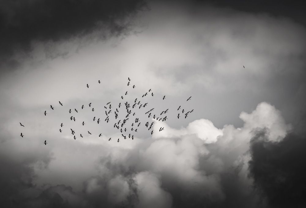 Photograph by Пирог Борис