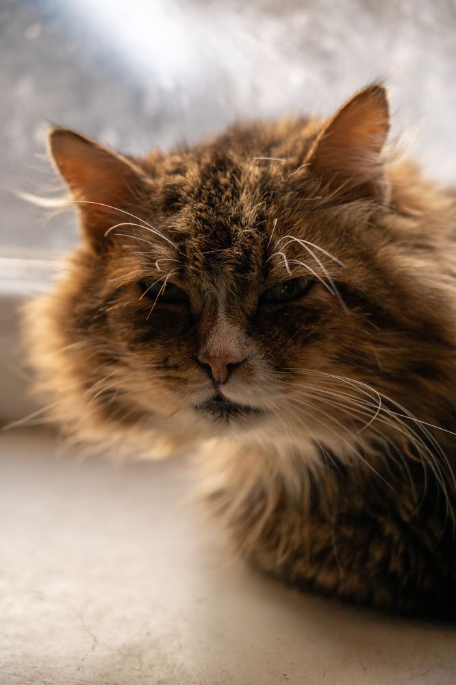 Лето в деревне