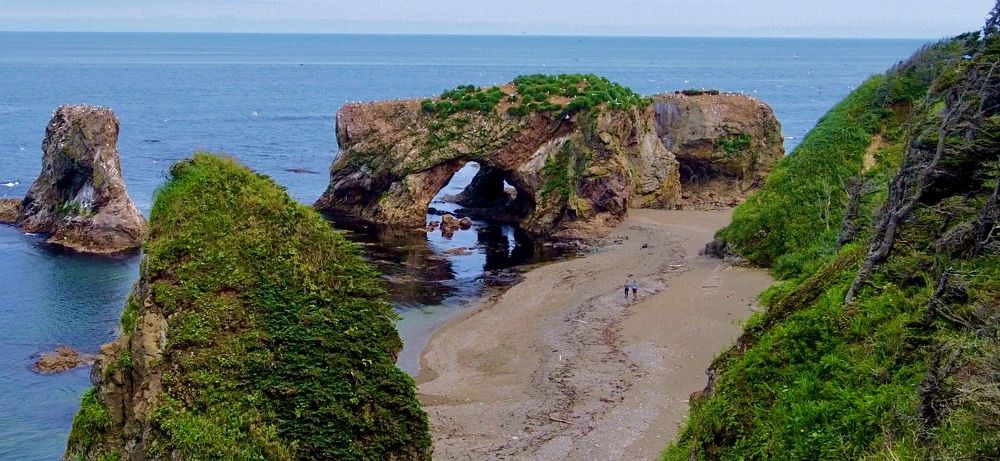 Мыс Птичий, Сахалин