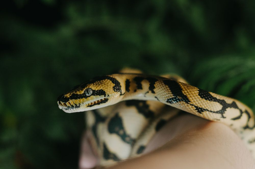 Photograph by Софья Лученкова