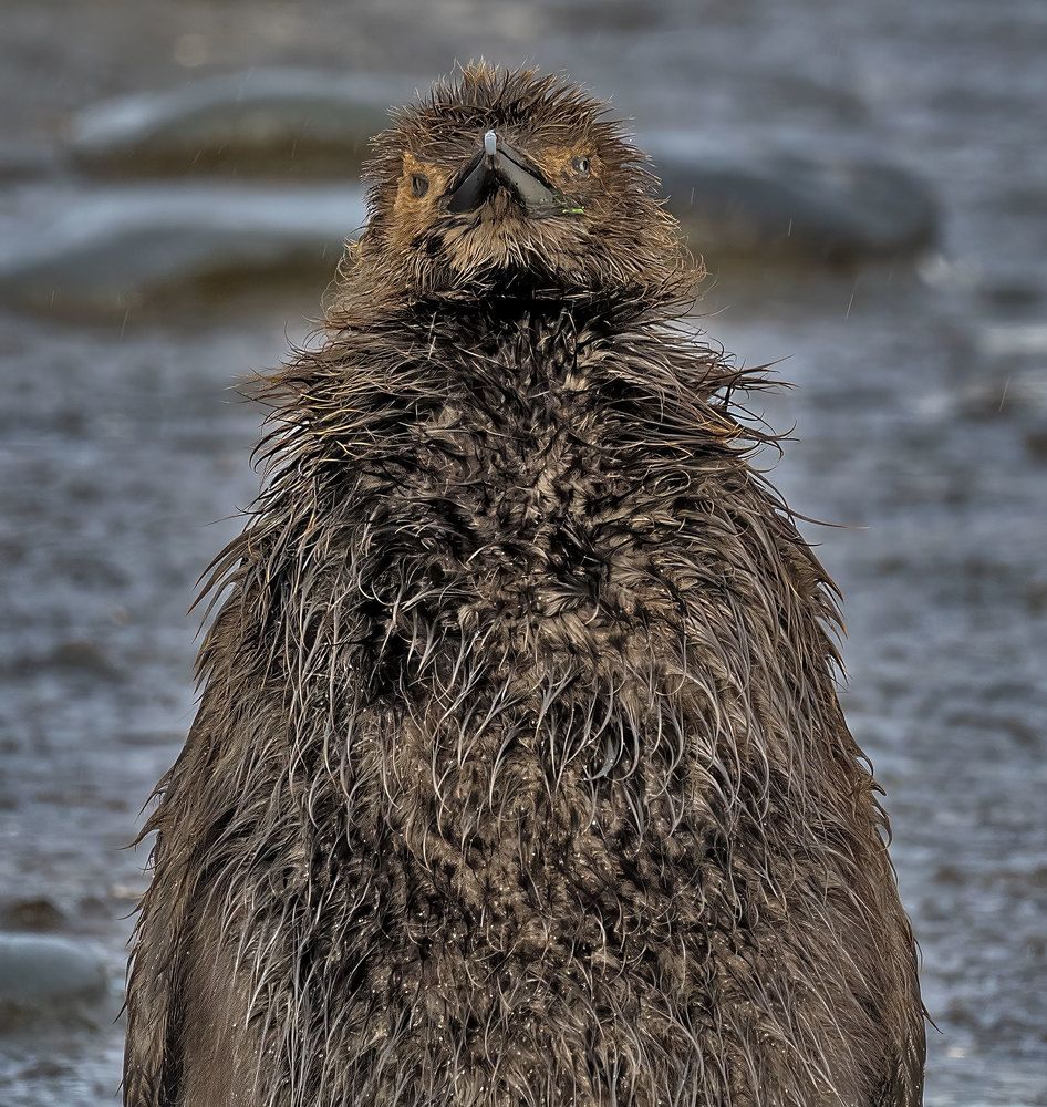 Photograph by gagarin andrey