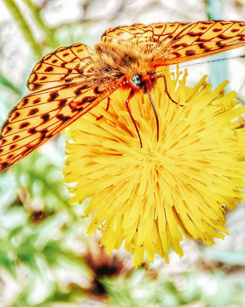 Photograph by Дмитрий Кашиков