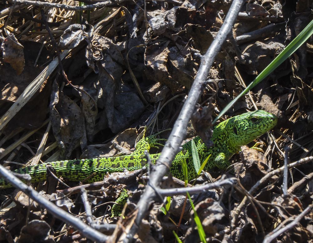 Photograph by Цветков Сергей