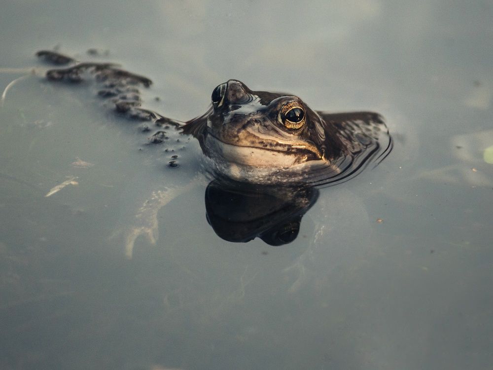 Photograph by Юлия Серазетдинова