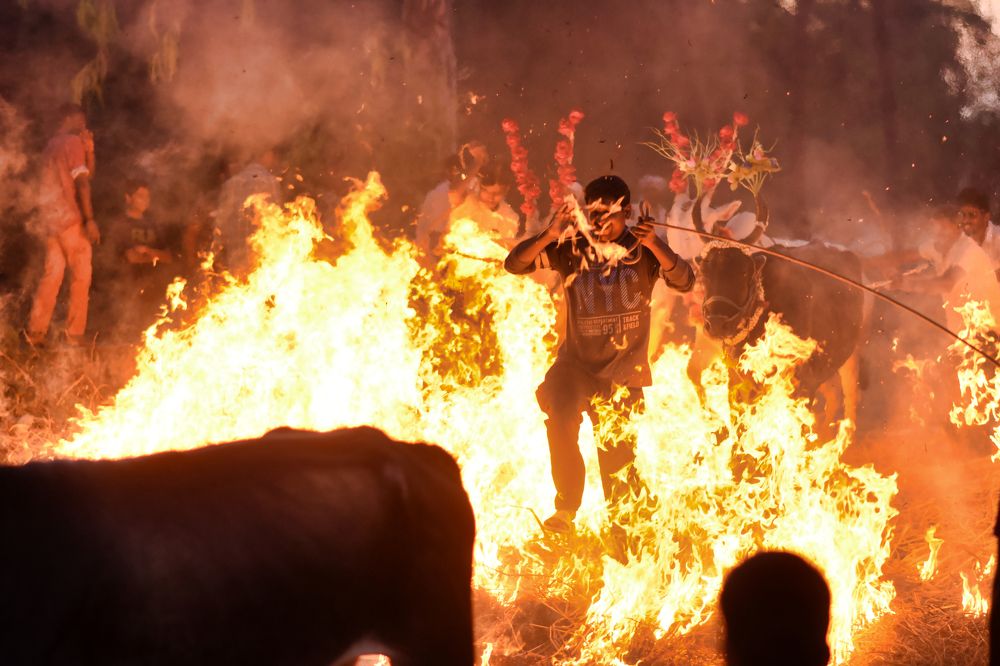 Photograph by GURURAJ KYATHANAHALLY