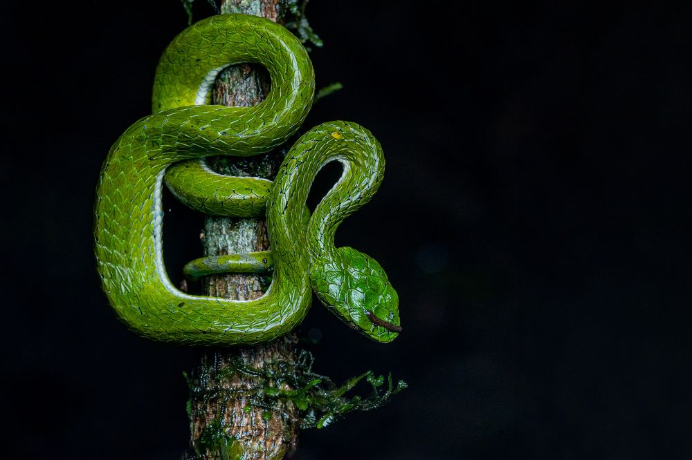 Photograph by Naveen Kumar