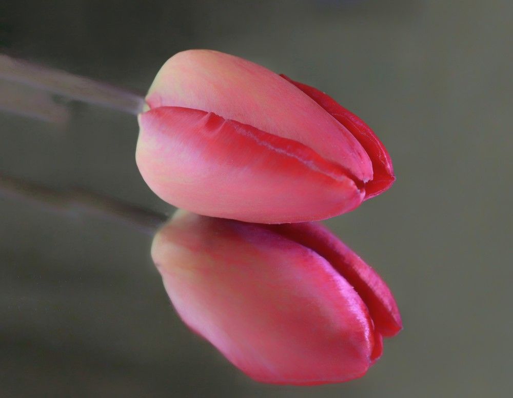 Photograph by Ирина Садовникова