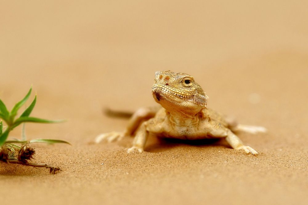 Фотография автора Макс Морозов