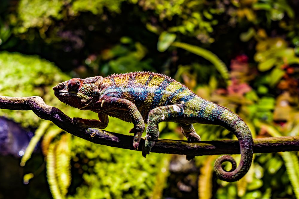 Photograph by Dark Ambient