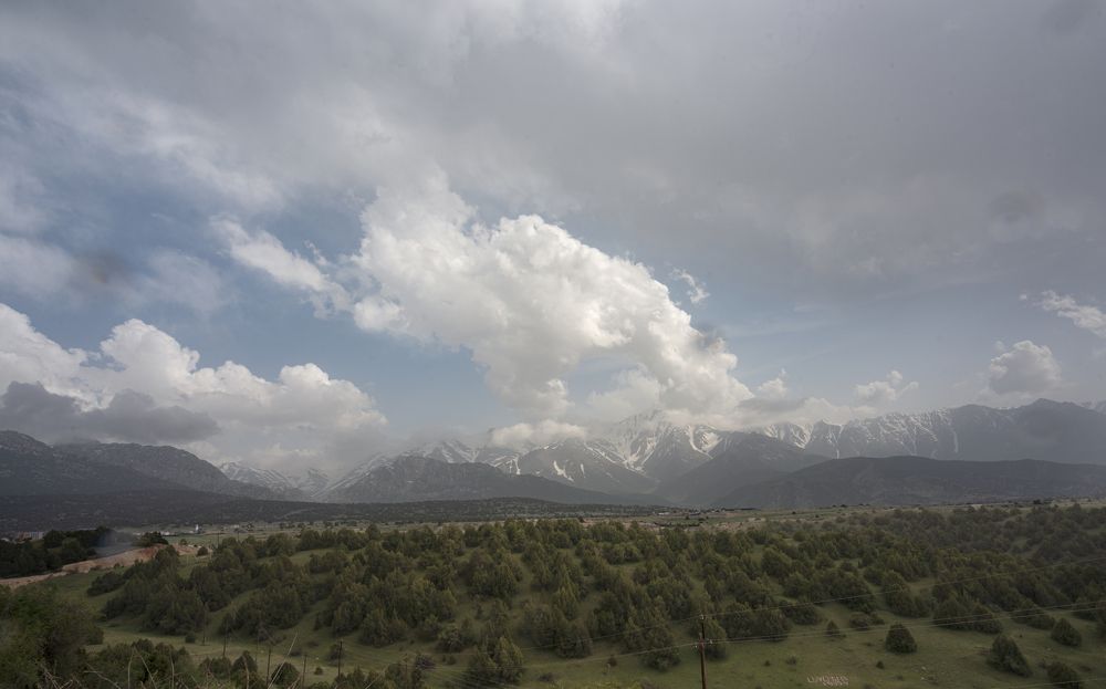 Photograph by Abdulrahman Sawalha