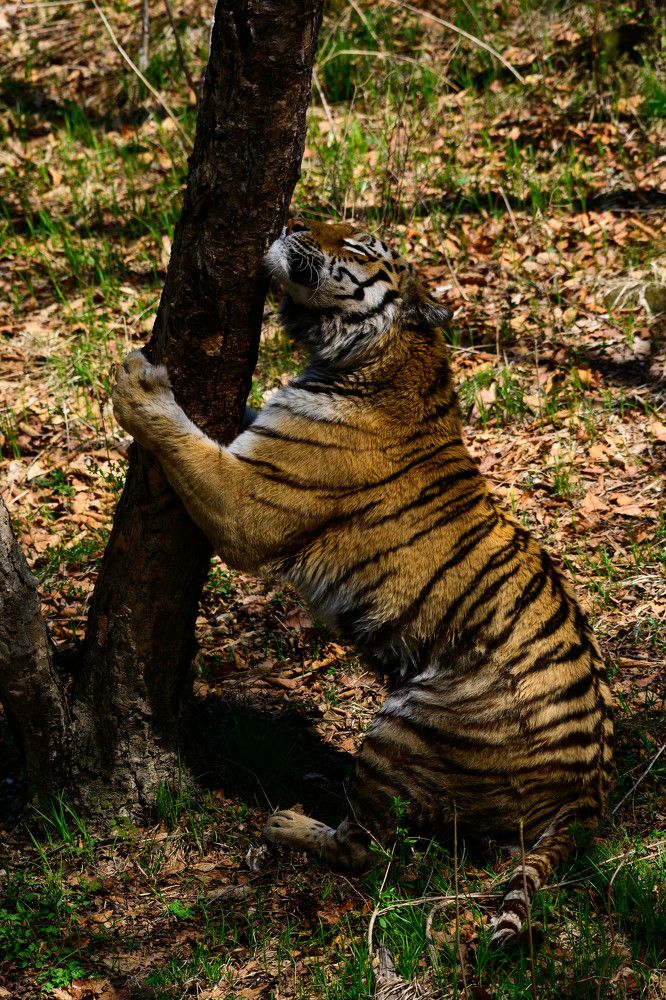 Photograph by Karasev Pavel