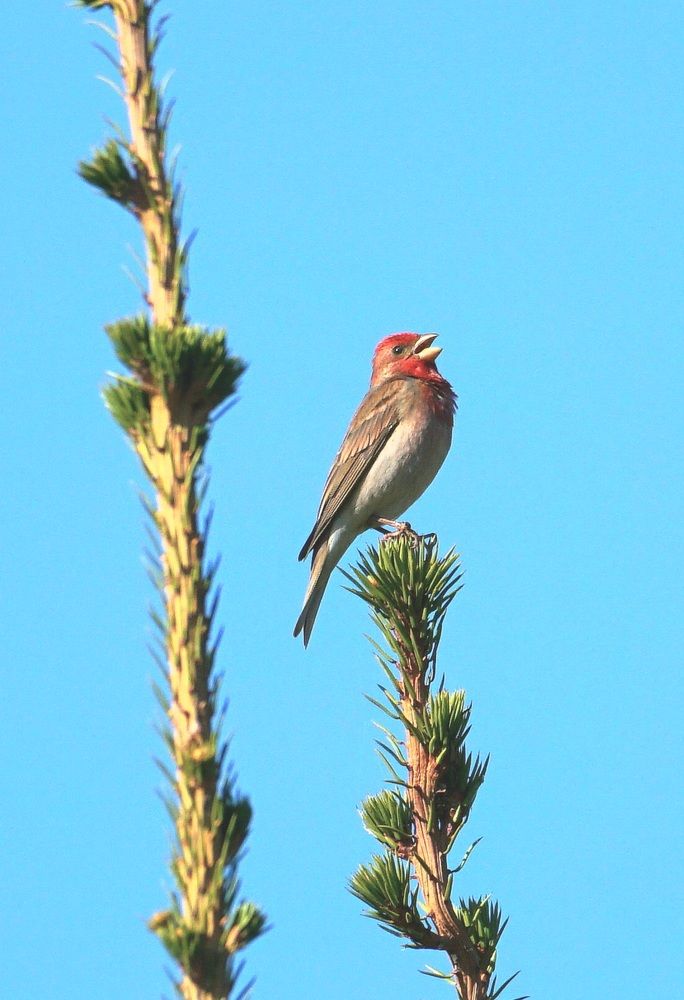 Photograph by Михаил Трусов