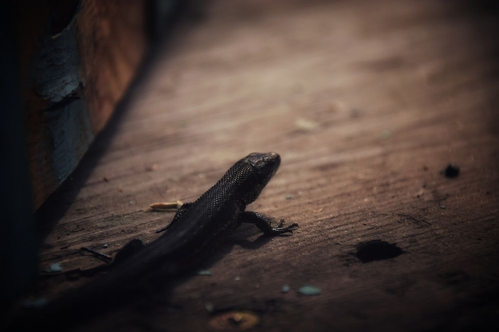 Photograph by Митюшкова Алёна