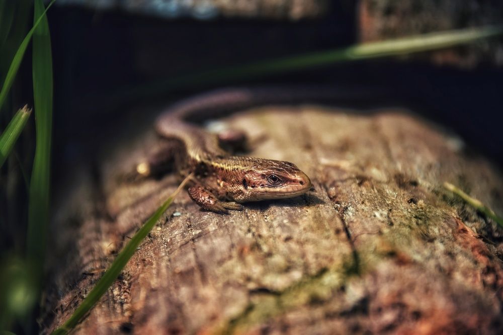 Photograph by Митюшкова Алёна