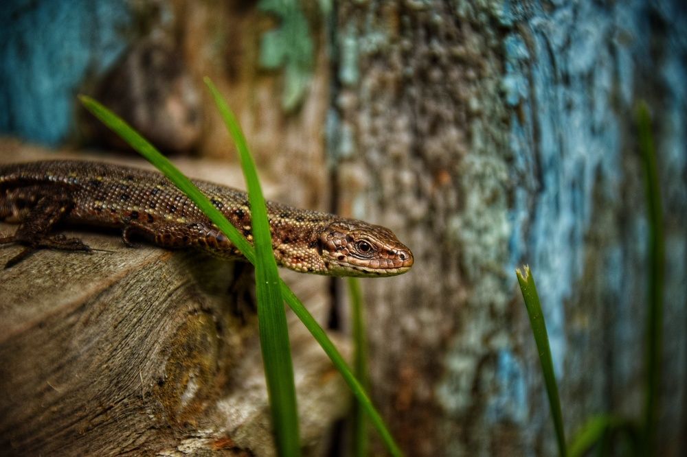 Photograph by Митюшкова Алёна