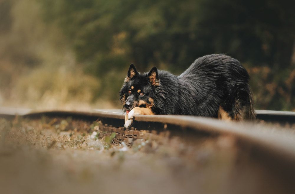 Фотография автора Анна