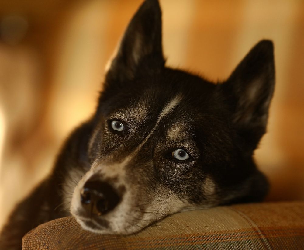 Photograph by Елена Одынец