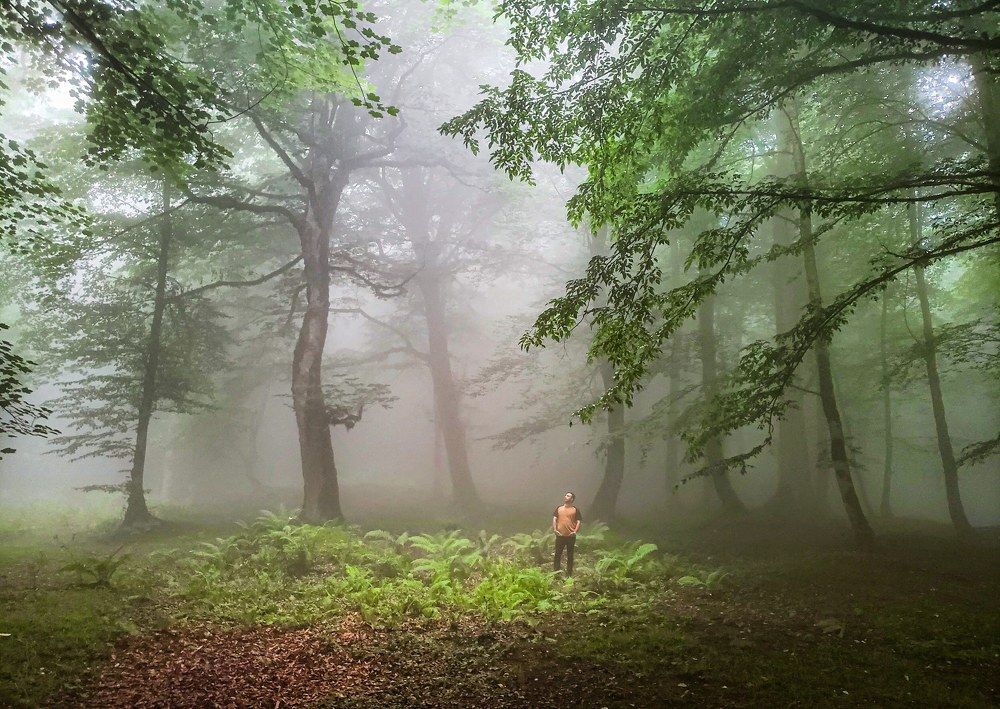 Photograph by amir shadpoor