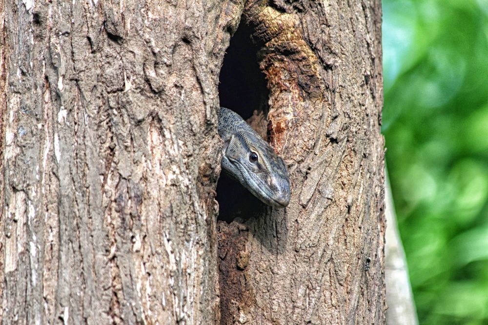 Photograph by Drora Baharal