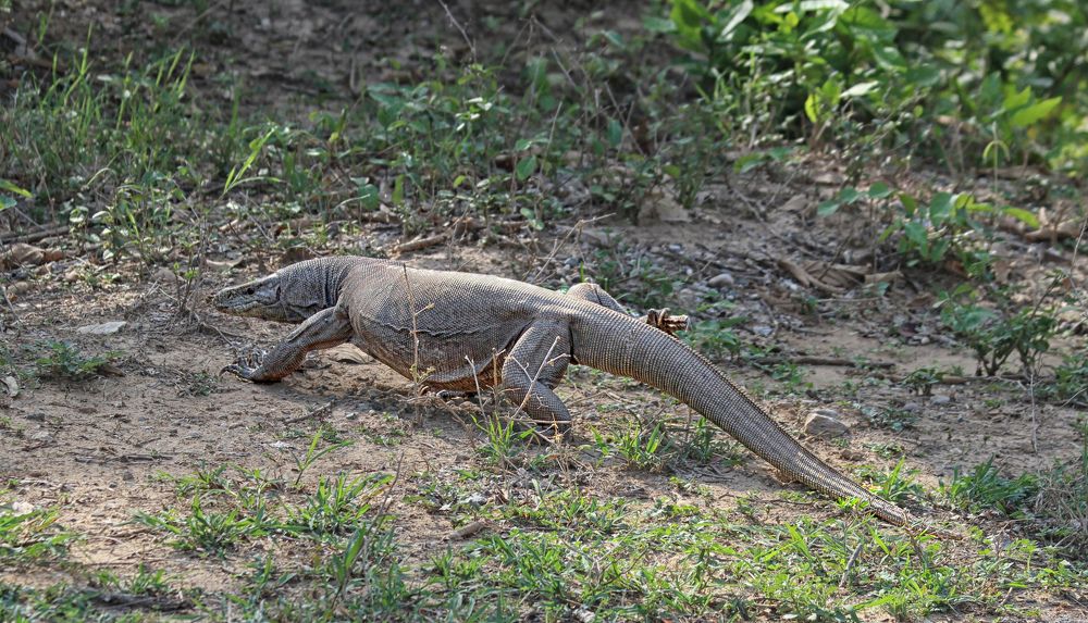 Photograph by Drora Baharal