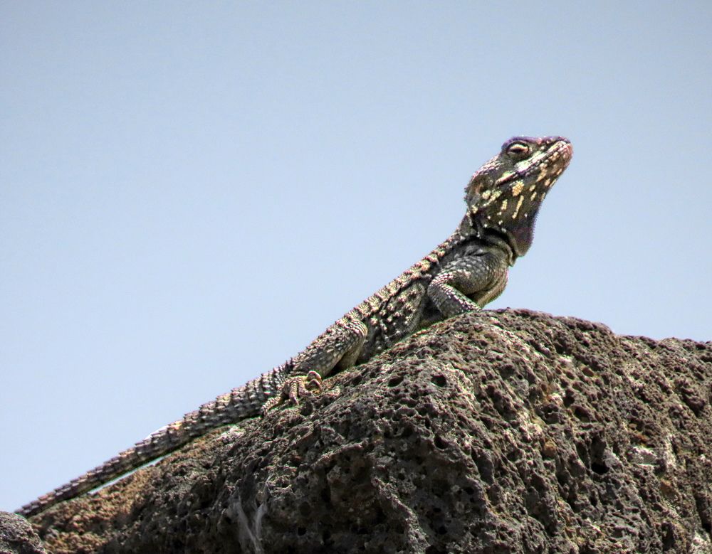 Photograph by Drora Baharal