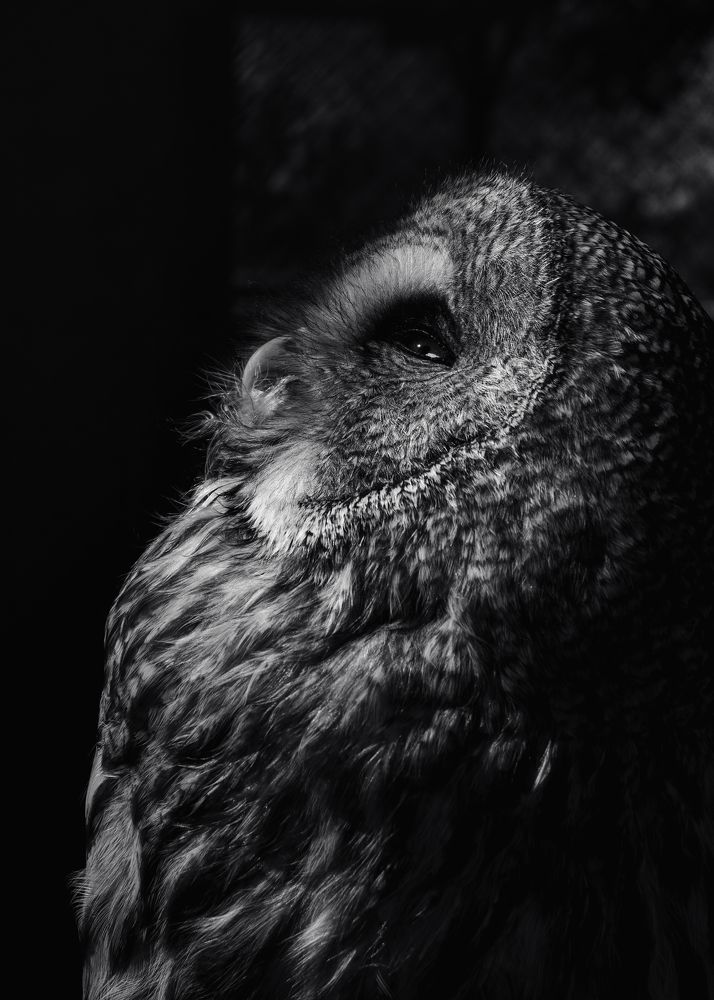 Photograph by Алексей Крукович