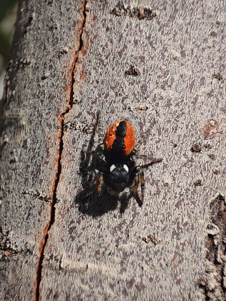 Photograph by mahdi roozbahani