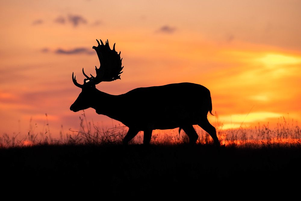 Photograph by Lukas Andree Andersen