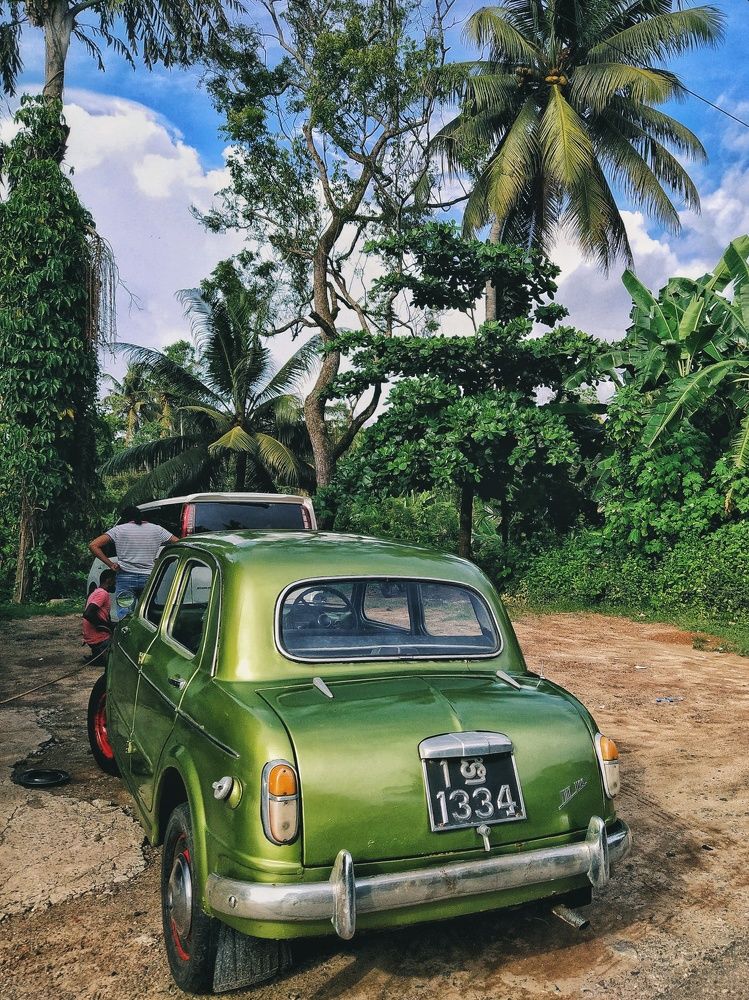 Фотография автора Юлия Новокшанова