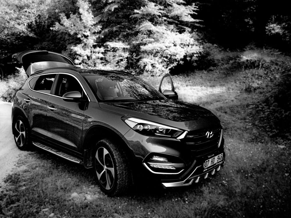 Фотография автора NECMETTİN SOBUTAY