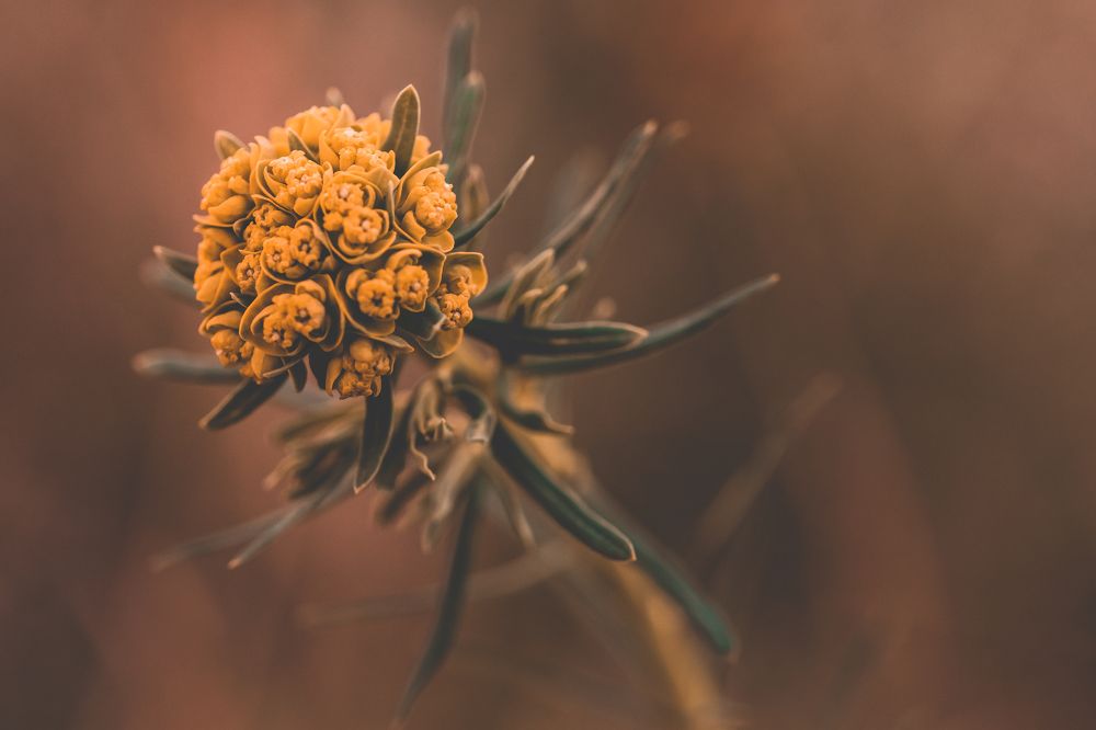 Photograph by Uroš Novina