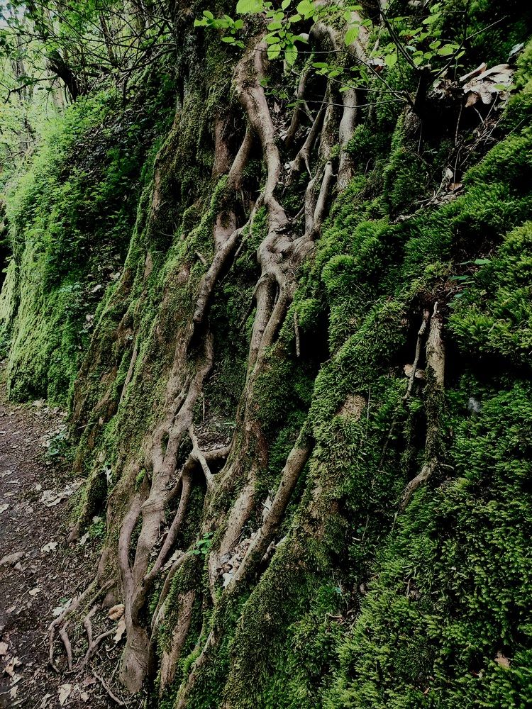 Photograph by Татьяна