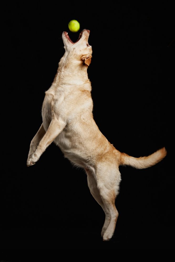 Photograph by santos román martínez