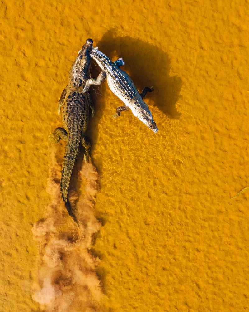 Photograph by Miguel Diaz