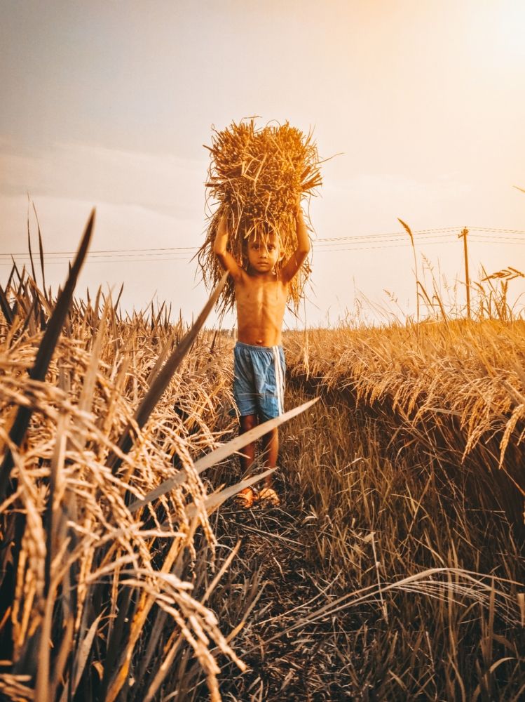 Photograph by Shohag