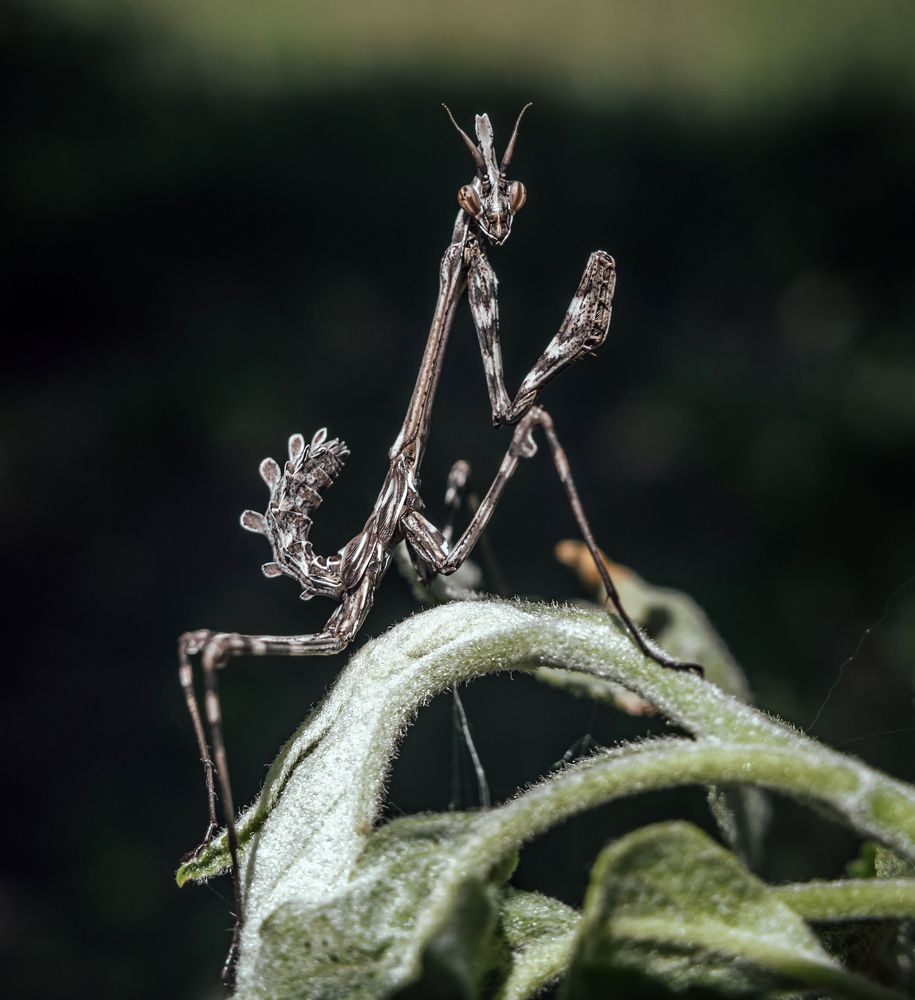 Photograph by Екатерина