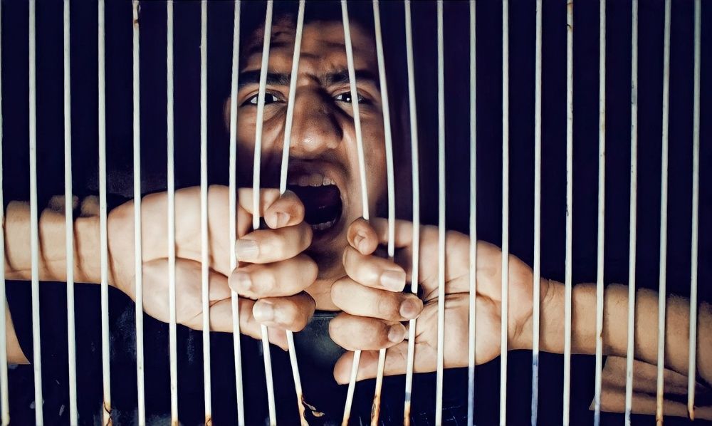 Photograph by Mustafa rady