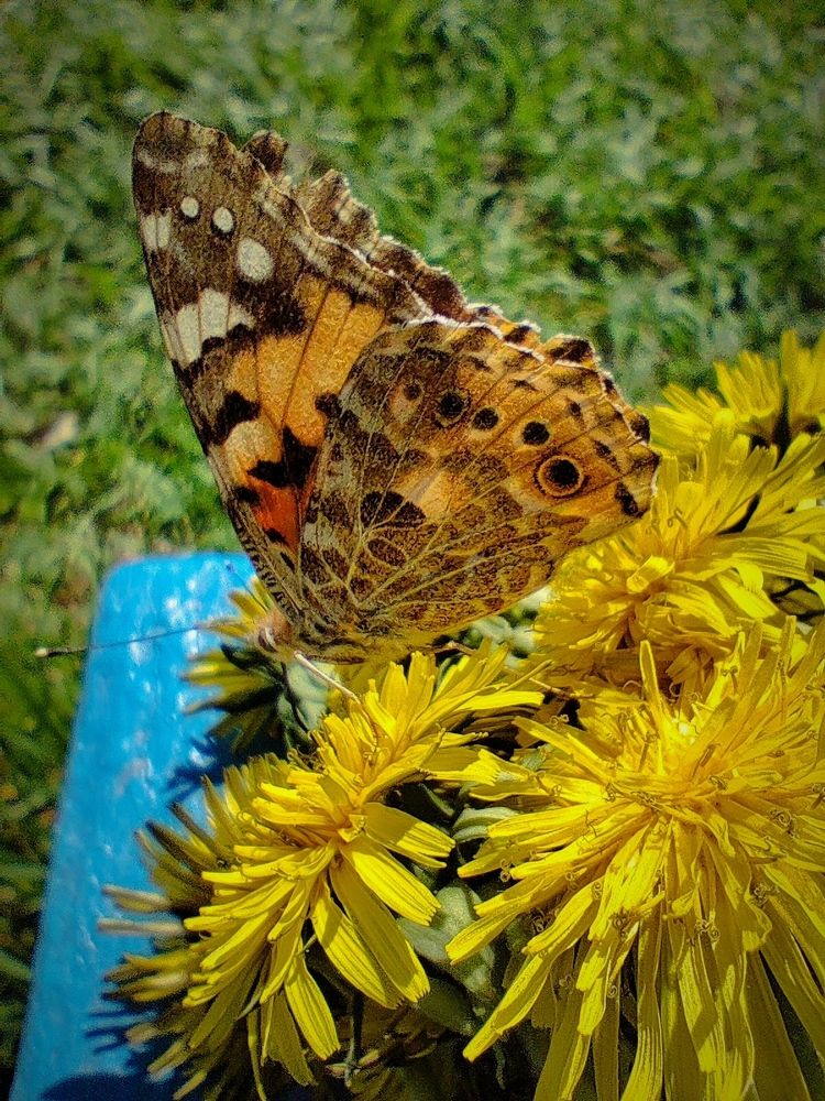 Photograph by Екатерина