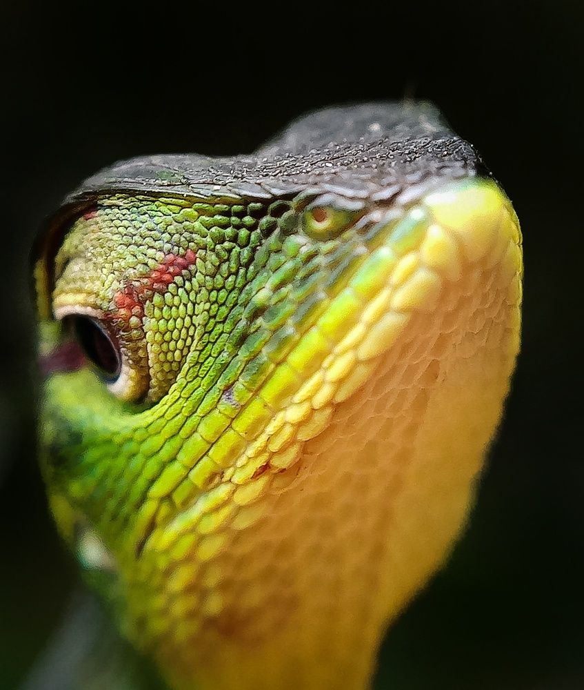 Photograph by Thimira dinisuru