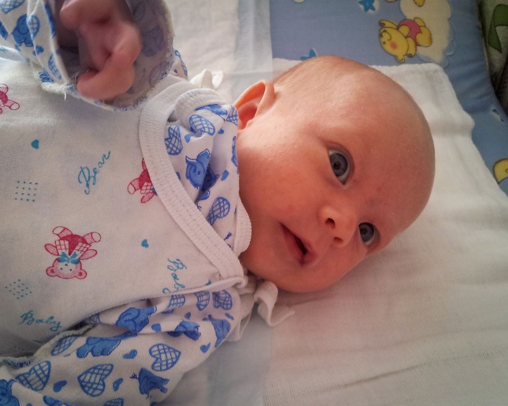 Photo #9131833