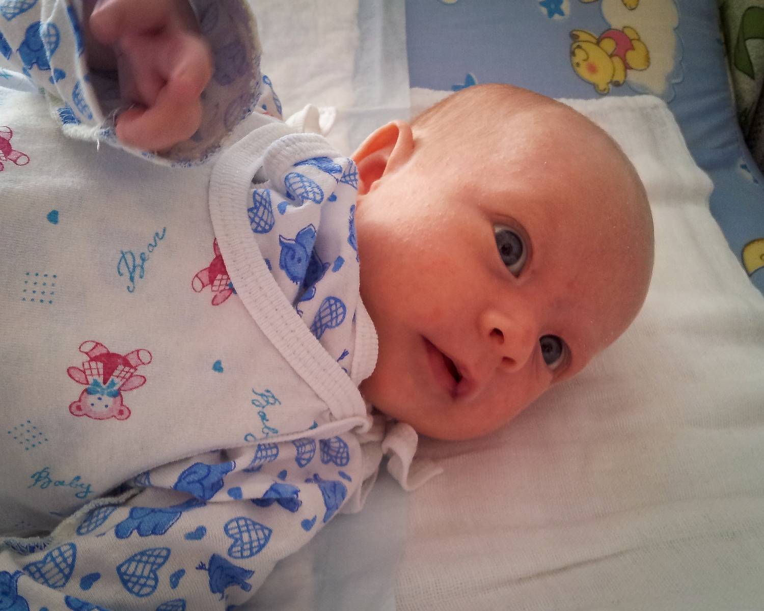 Photo #9131833