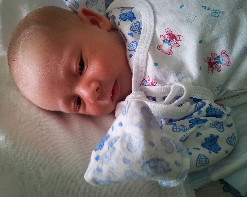 Photo #9131834