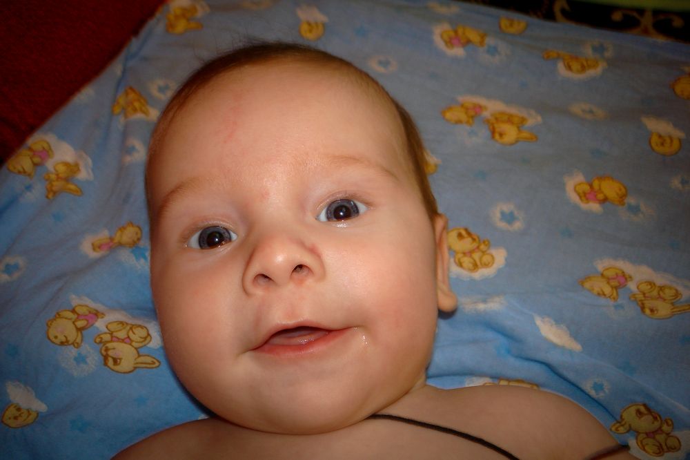 Photo #9131837